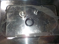 DSCN2288