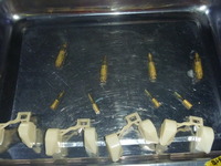 P1060271