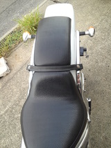 ds400ws20120830 (3)