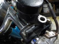 DSCN9956