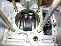 DSCN6421