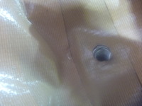 P1020021