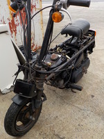 DSCN0553
