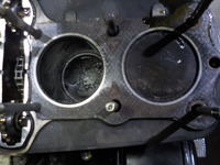 DSCN8262