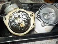 DSCN1894