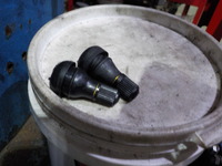 DSCN0647