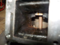 DSCN8664