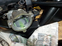 DSCN5367