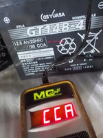 DSCN5500