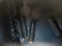 DSCN0458