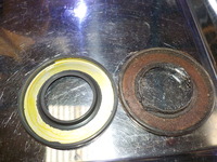 DSCN8828