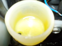 DSCN2519