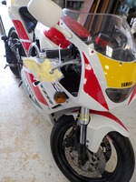 DSCN7804