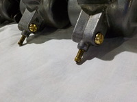 DSCN5388