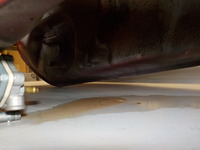DSCN8877