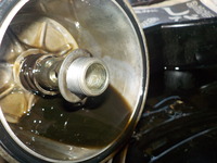 DSCN7781
