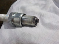 DSCN7082