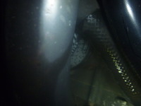 P1250651