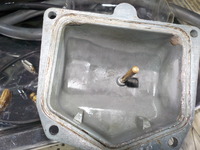 DSCN3954