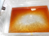 DSCN3769