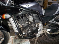 DSCN5389