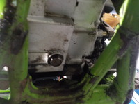 DSCN3141