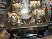 DSCN3547