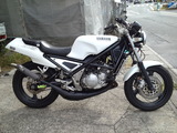 SN3U0956