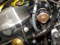 DSCN5790