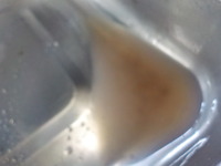 DSCN1532