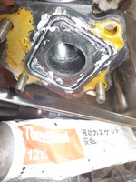DSCN0426
