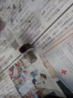 DSCN2614