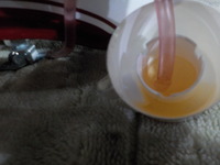DSCN3596