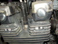 DSCN7290