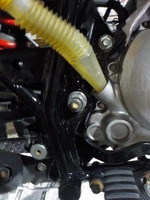 DSCN6741