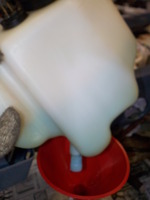 DSCN7898