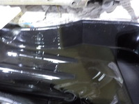 DSCN0981