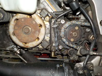 DSCN5683