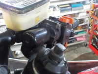 DSCN2893