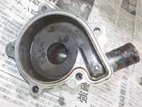 DSCN5484