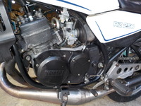 DSCN4447