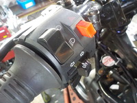 DSCN4395