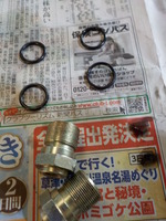 DSCN6529