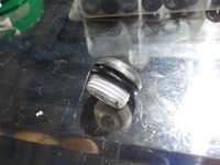 DSCN3993