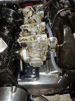 DSCN6206