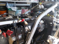 DSCN5274
