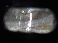 DSCN4617