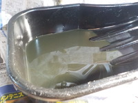 DSCN9156