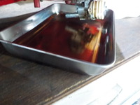 DSCN5407