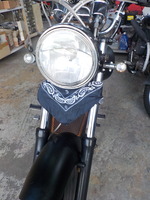 DSCN5946